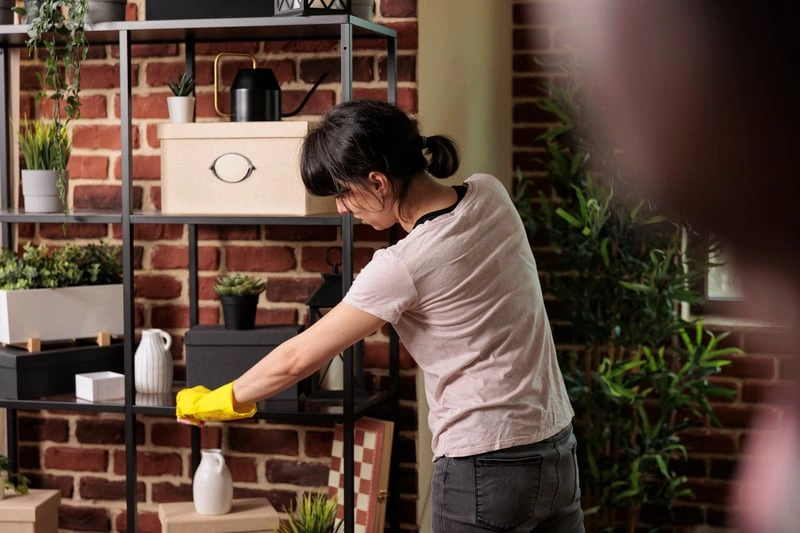 One-Time Cleaning detail