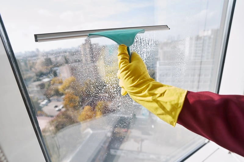 Window Cleaning detail
